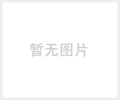 RA890G1245控制器